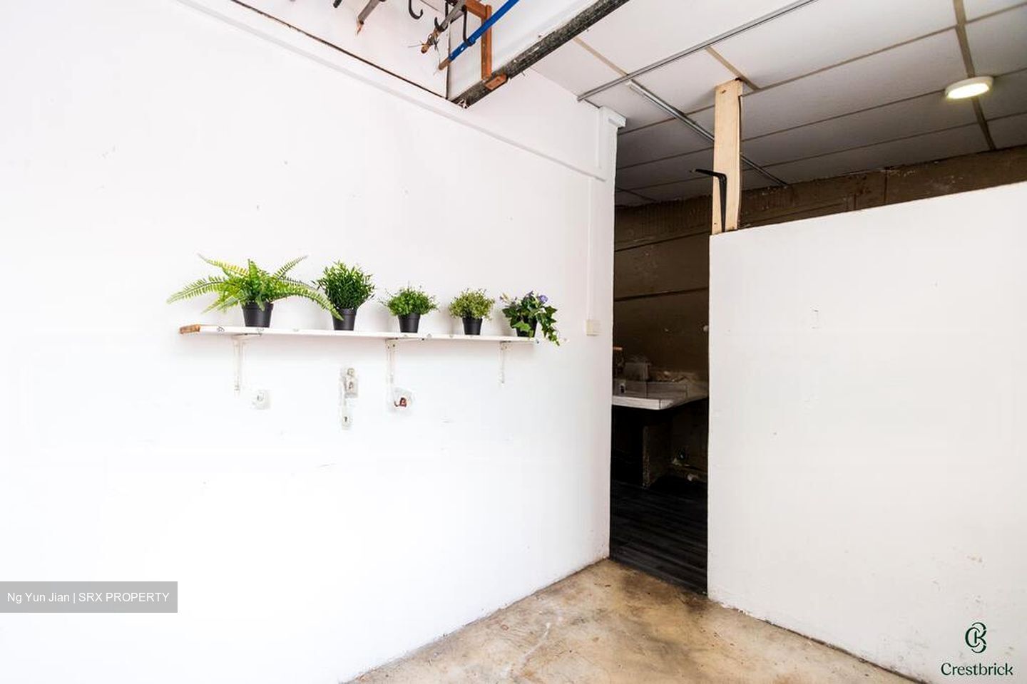 Jalan Besar Stadium (D8), Shop House #575749721